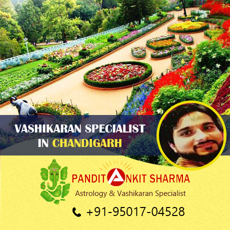 Vashikaran Specialist in Chandigarh | Call at +91-95017-04528